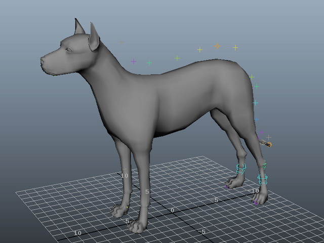 Dog Rig 3d rendering