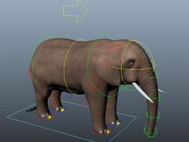 Elephant Rigging 3d model preview