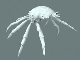 Giant Spider Crab 3d model preview