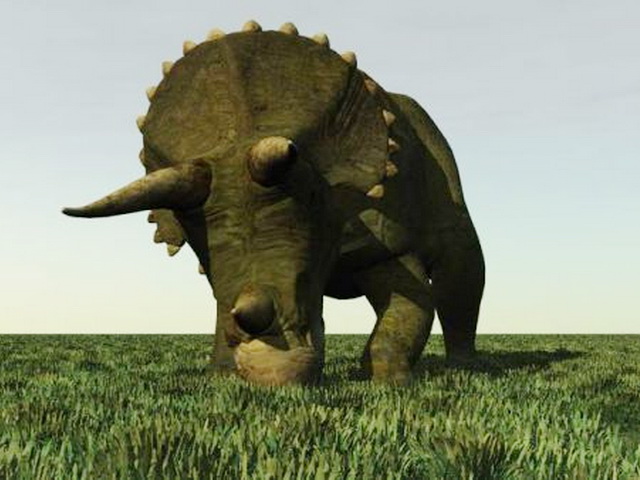 Triceratops Dinosaur 3d rendering