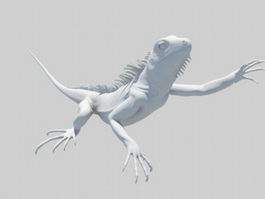 Lizard Animal 3d model preview