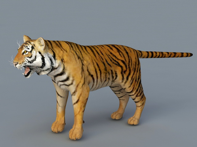 Bengal Tiger 3d rendering