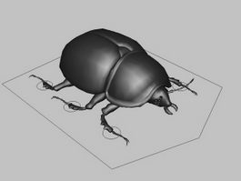 Black Beetle Rig 3d model preview