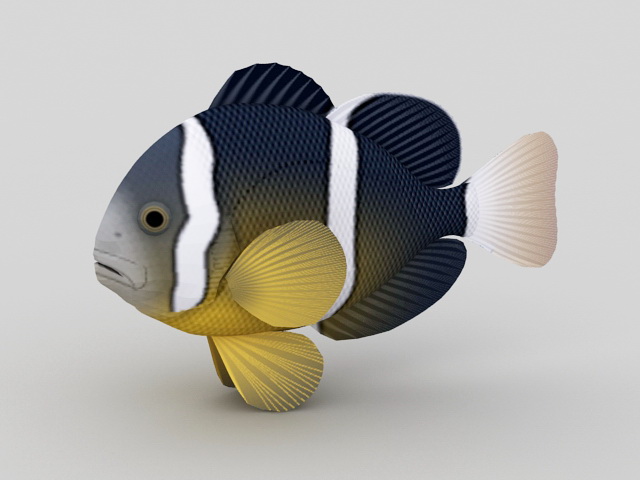 Striped Tropical Fish 3d rendering