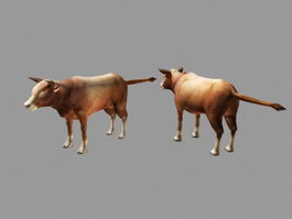 Beef Cattle 3d model preview