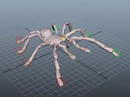 Cartoon Wolf Spider Rig 3d model preview