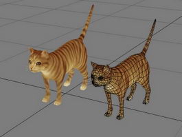 Orange Tabby Cat 3d model preview