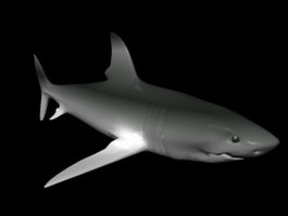 Bull Shark 3d model preview