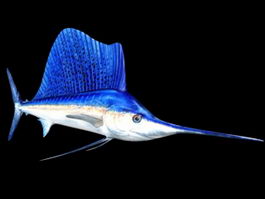 Blue Swordfish 3d model preview