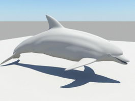 Common Dolphin 3d model preview