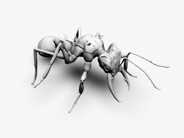 Cartoon Ant 3d rendering
