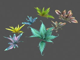 Low Poly Plants Collection 3d preview