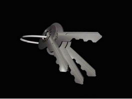 Key Ring and Keys 3d model preview