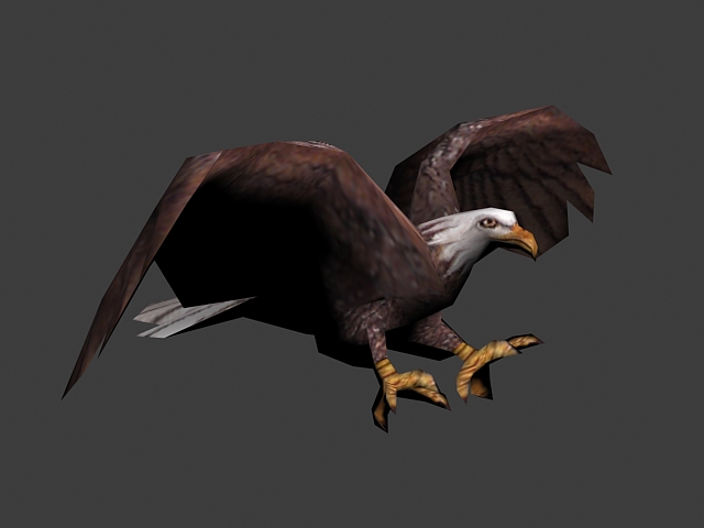 Animated Eagle Flying 3d model - CadNav