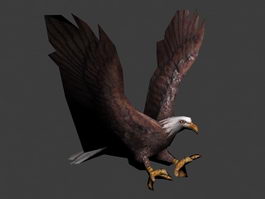 Animated Eagle Flying 3d model preview