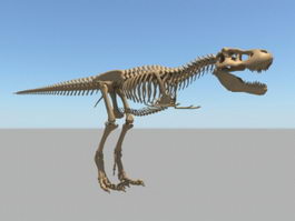 Dinosaur Skeleton 3d model preview