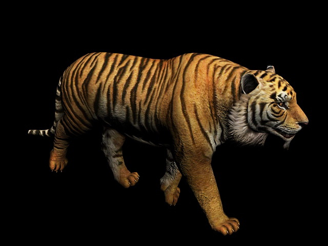 modèle 3D de Tigre du Bengale (FOURRURE) (ANIMÉ) - TurboSquid 1481168