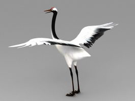 Red-crowned Crane 3d model preview