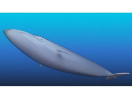 Blue Whale 3d model preview