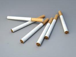 Filtered Cigarettes 3d preview