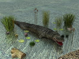 River Crocodile 3d preview
