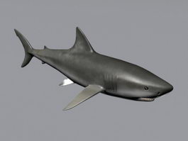 Bull Shark 3d model preview