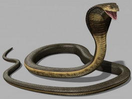 Copperhead snake 3d model. Free download.