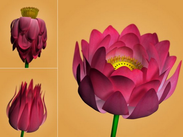 Lotus Flower Rig 3d rendering