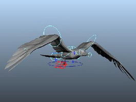 Gull Flying Animation 3d model preview
