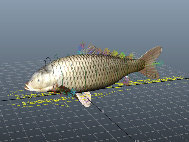 Carp Fish Rig 3d rendering
