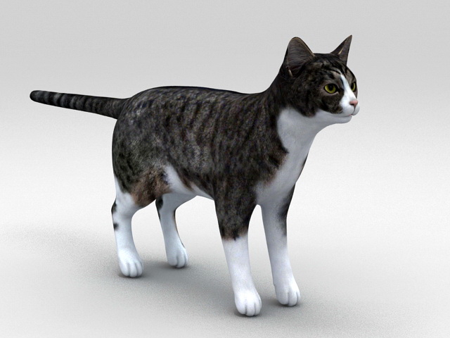 Classic Tabby Cat 3d model 3ds Max files free download