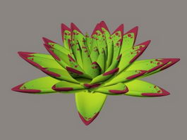 Echeveria Agavoides Ebony 3d preview