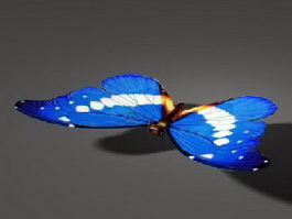 Butterfly 3d model free download - CadNav Butterfly 3d model free download - CadNav