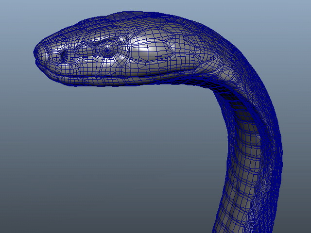 3D Snake Models ~ Download a Snake 3D Model