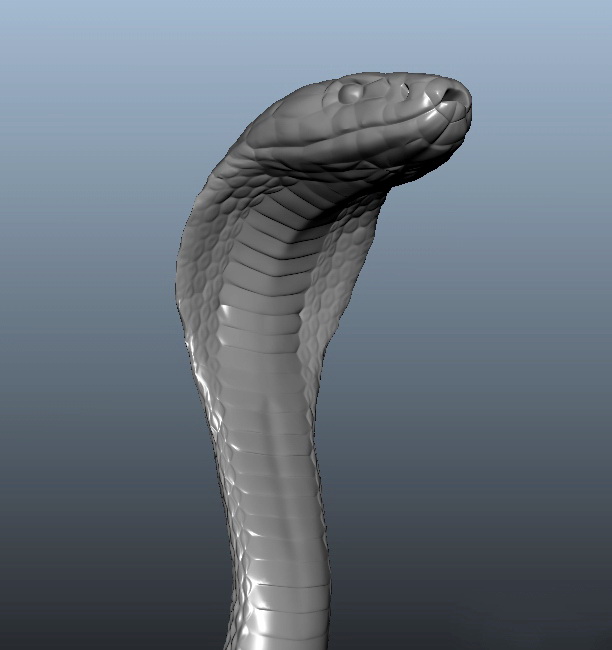 Snake Cobra Pose 5 ~ 3D Model ~ Download #89226688