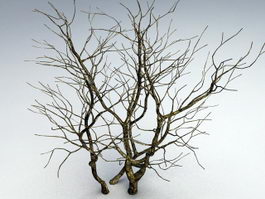 Withered Tree 3d model preview
