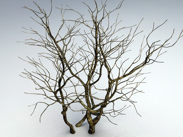 Withered Tree 3d rendering
