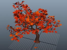 Red Maple Tree 3d model preview