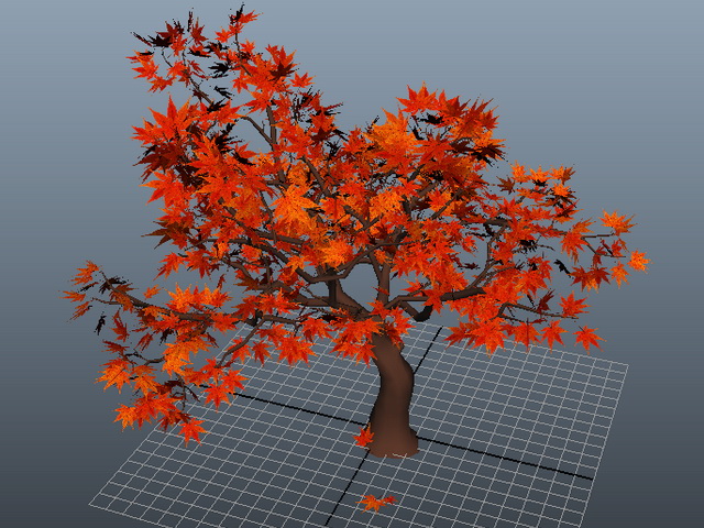 Red Maple Tree 3d rendering