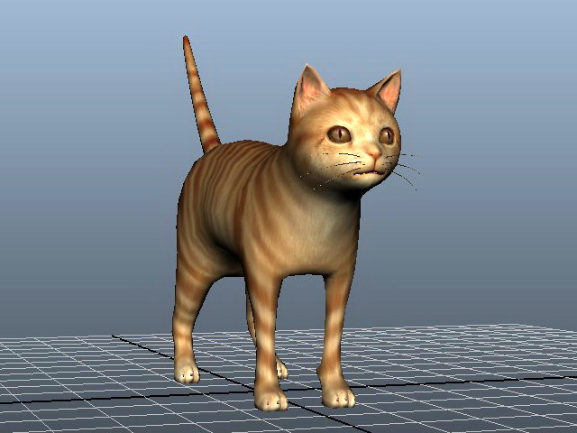 Orange Tabby Cat  3d  model Maya files free download 