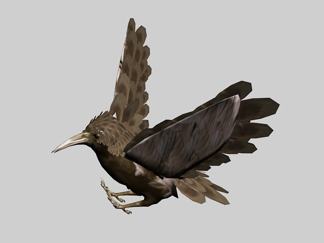 Bird Rig Animation 3d model - CadNav