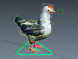 Chicken Rig 3d preview