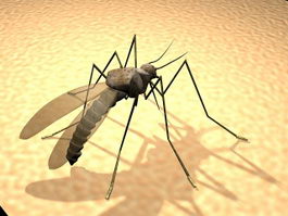 Giant Mosquito 3d preview