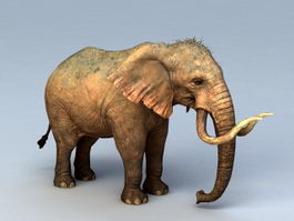 Mammoth Elephant 3d preview