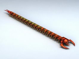 Red Centipede 3d model preview