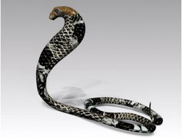 Black Cobra Snake 3d model preview