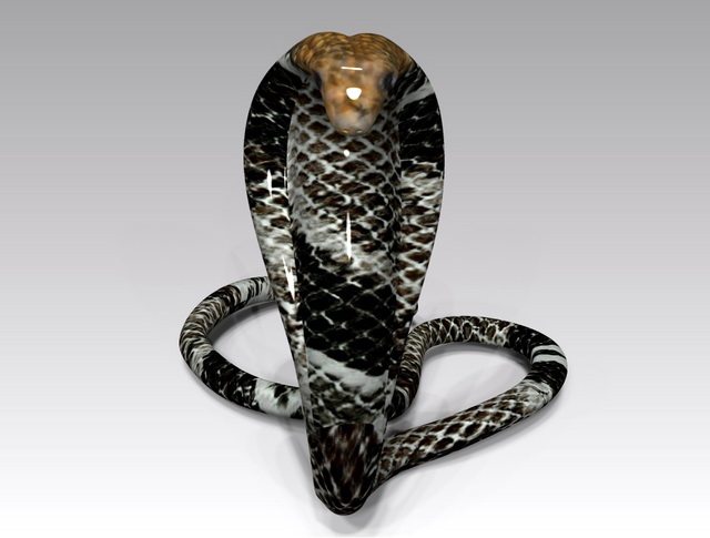 Black Cobra Snake 3d rendering