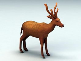 Pampas Deer 3d model preview