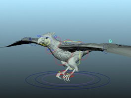 Eagle Rig 3d model preview
