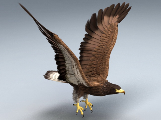 Animated Bald Eagle Rig 3d model - CadNav